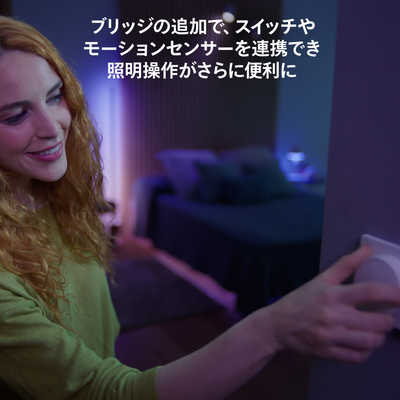 フィリップス PHILIPS Philips Hue シグネ グラデーションフロア