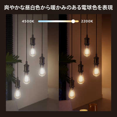 フィリップス PHILIPS Philips Hue フィラメント ホワイト