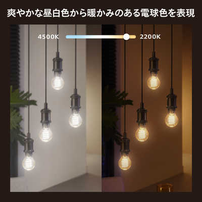 フィリップス PHILIPS Philips Hue フィラメント ホワイト