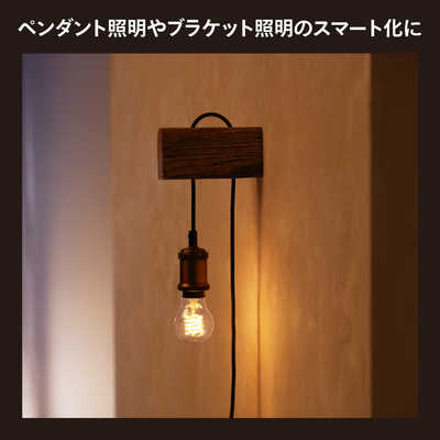 フィリップス PHILIPS Philips Hue フィラメント ホワイト