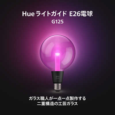 フィリップス PHILIPS Philips Hue ライトガイド E26 G125 ［E26 /一般