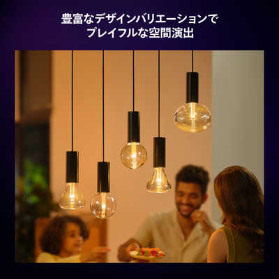 フィリップス PHILIPS Philips Hue ライトガイド E26 G125 ［E26 /一般