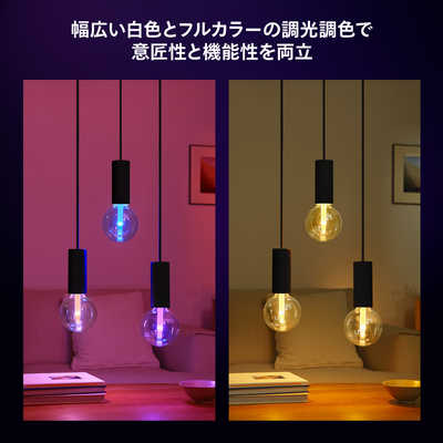 フィリップス　PHILIPS　Philips Hue ライトガイド E26 G125 ［E26 /一般電球形 /40W相当 /1個 /全方向タイプ］　PHLG-G12 フィリップス PHILIPS Philips Hue ライトガイド E26 G125 ［E26 /一般