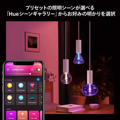 フィリップス PHILIPS Philips Hue ライトガイド E26 G125 ［E26 /一般