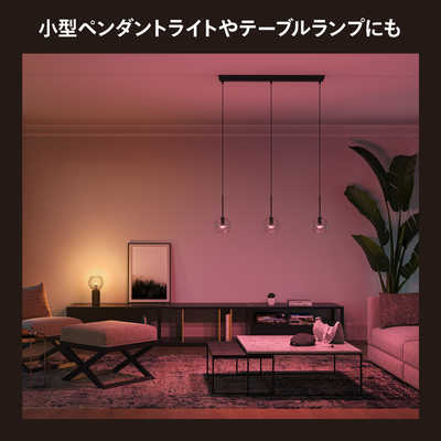 フィリップス PHILIPS Philips Hue フルカラー E17 LED電球 40W形相当