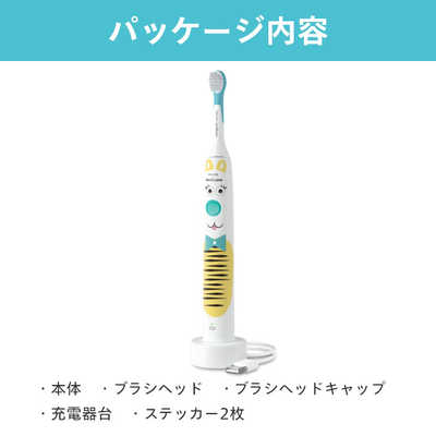 ウェルビーイングテクノロジー ウォーターフロス mini18 ROAMAN