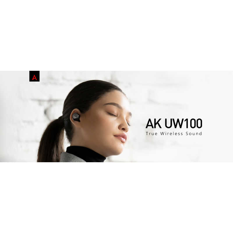 ASTELL＆KERN ASTELL＆KERN フルワイヤレスイヤホン [リモコン・マイク対応 /ワイヤレス(左右分離) /Bluetooth] IRV-AK-UW100-BLK ブラック IRV-AK-UW100-BLK ブラック