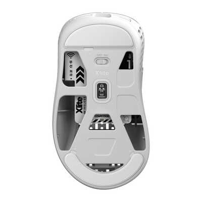 pulsar xlite v2 mini