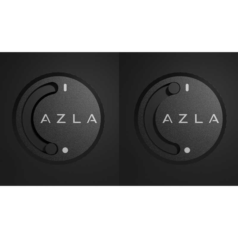AZLA AZLA ライブ用耳栓 POM1000 II Silver AZL-POM1000-II-SLV AZL-POM1000-II-SLV