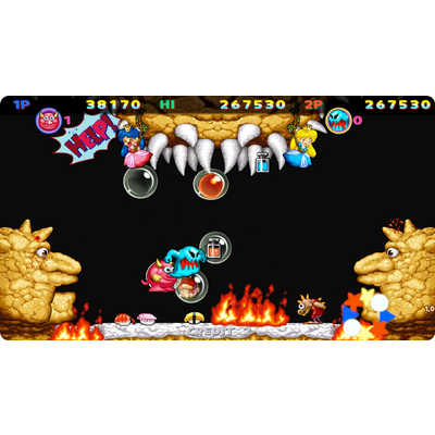 DAEWONMEDIA Switchゲームソフト SNOWBROS. NICK ＆ TOM SPECIAL
