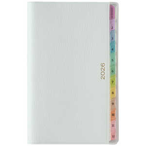 ����ǽΨ����ޥͥ����ȥ��󥿡� 2026ǯ��1��Ϥޤ� PAGEM(�ڥ�������) ����ѥ���-i��� ��Ģ [���������꡼/�������Ϥޤ�] �饤�ȥ֥롼 2201