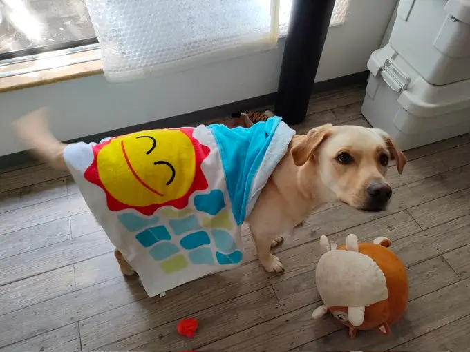 投稿イメージ09