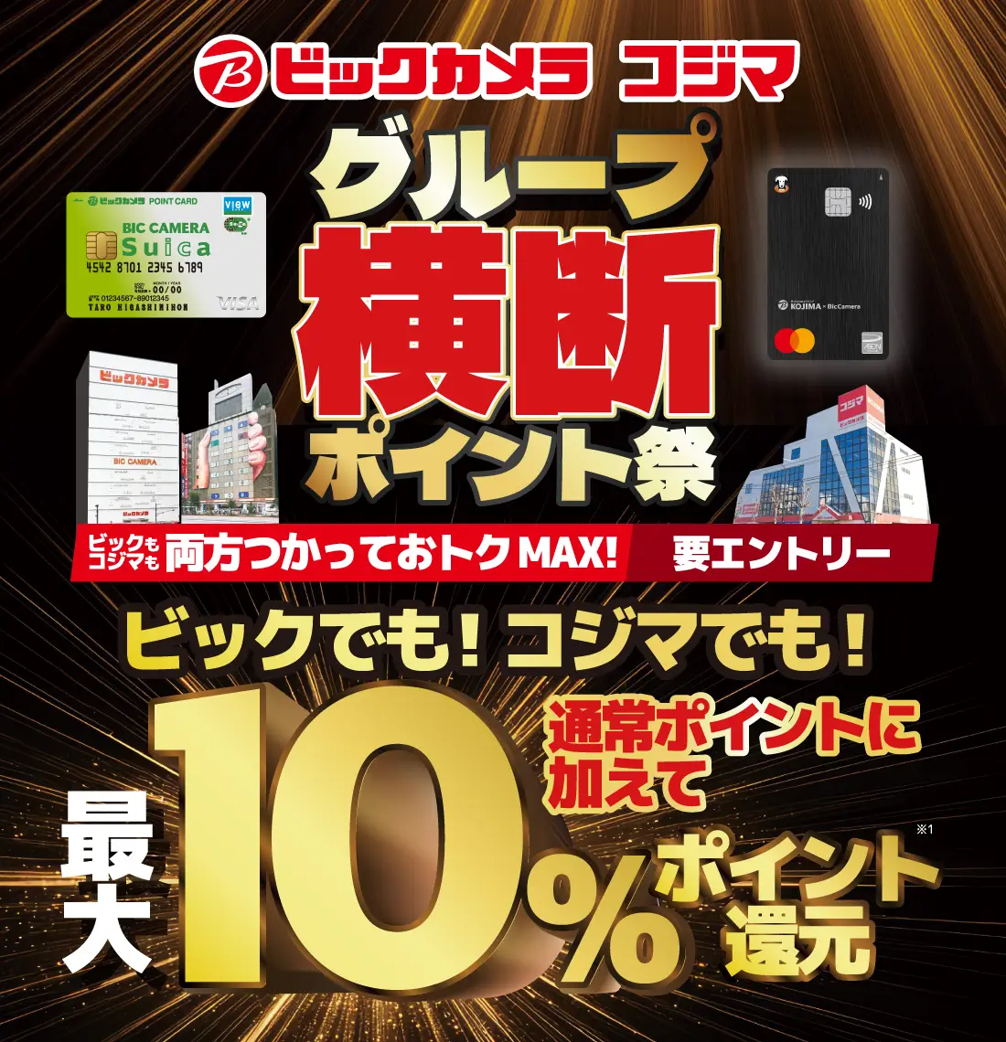 ビックカメラコジマグループ横断ポイント祭