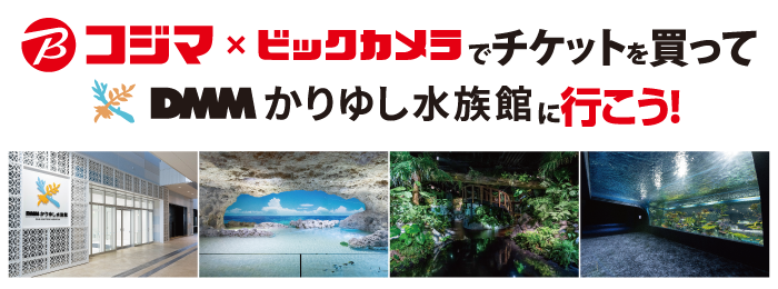 コジマ×ビックカメラでチケットを買ってDMMかりゆし水族館に行こう！