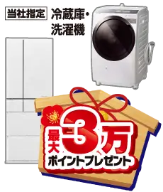 冷蔵庫・洗濯機最大3万ポイントプレゼント
