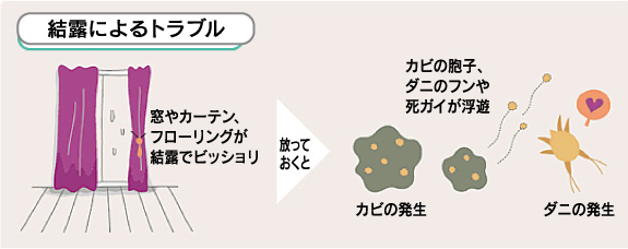 結露によるトラブル