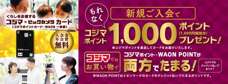 ビックカメラとコジマ分-