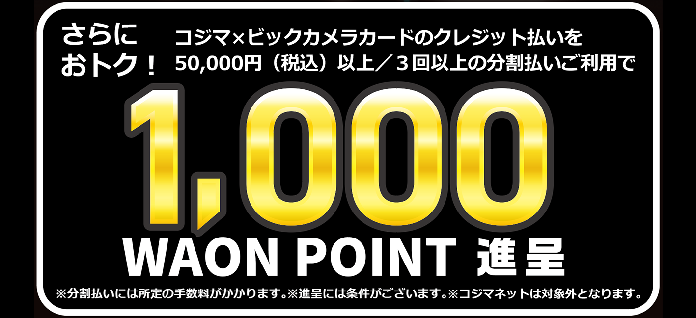 さらにおトク!分割払い3回以上/50,000円(税込み)以上ご利用で1,000WAON POINT進呈
